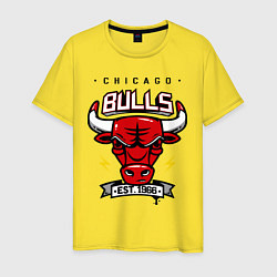 Футболка хлопковая мужская Chicago Bulls est. 1966, цвет: желтый