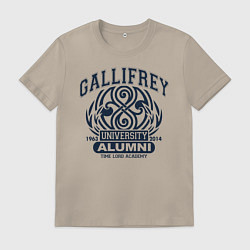 Мужская футболка Доктор Кто, Галлифрей