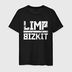 Футболка хлопковая мужская LIMP BIZKIT, цвет: черный