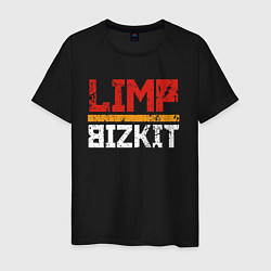 Футболка хлопковая мужская LIMP BIZKIT, цвет: черный