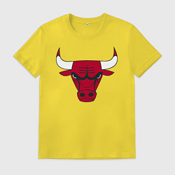Футболка хлопковая мужская Chicago Bulls, цвет: желтый