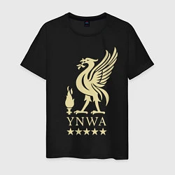 Футболка хлопковая мужская Liverpool FC, цвет: черный