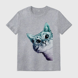 Мужская футболка Любопытный кот