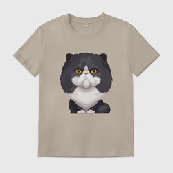 Футболка хлопковая мужская Важный кот, цвет: миндальный