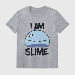 Футболка хлопковая мужская I AM SLIME, Я СЛИЗЬ, цвет: меланж