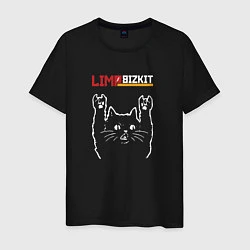 Футболка хлопковая мужская Limp Bizkit рок кот, цвет: черный