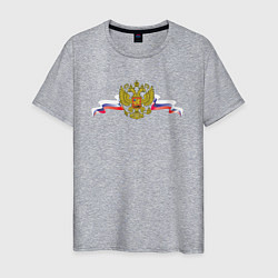 Футболка хлопковая мужская Герб и флаг россии, цвет: меланж