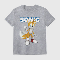 Футболка хлопковая мужская Майлз Тейлз Прауэр Sonic Видеоигра, цвет: меланж