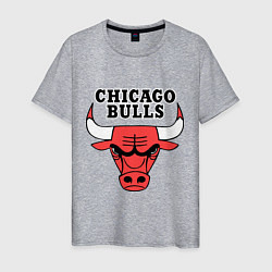 Футболка хлопковая мужская Chicago Bulls, цвет: меланж