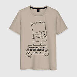 Футболка хлопковая мужская Simpson, Bart, Springfield, 159736, цвет: миндальный