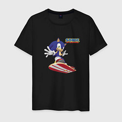 Футболка хлопковая мужская Sonic - hedgehog - skateboarding, цвет: черный