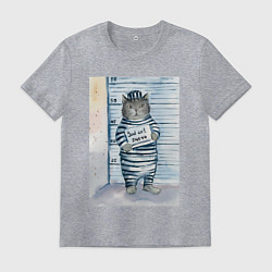 Футболка хлопковая мужская Акварельный рисунок плохой кот, цвет: меланж
