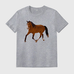 Футболка хлопковая мужская Голландская теплокровная, цвет: меланж