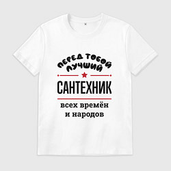 Футболка хлопковая мужская Перед тобой лучший сантехник - всех времён и народ, цвет: белый