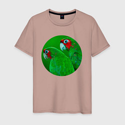 Футболка хлопковая мужская Два зелёных попугая, цвет: пыльно-розовый