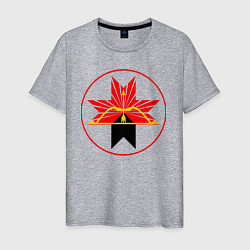 Футболка хлопковая мужская Завьяловский район, цвет: меланж