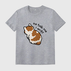 Мужская футболка Не говори со мной я злой обиженный кот