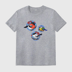 Футболка хлопковая мужская Зимние птички, цвет: меланж