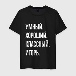 Футболка хлопковая мужская Умный хороший классный Игорь, цвет: черный