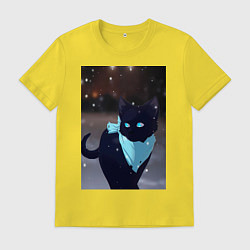 Мужская футболка Бездомный бог кот Ято