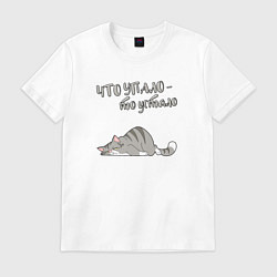 Футболка хлопковая мужская Что упало то устало, цвет: белый