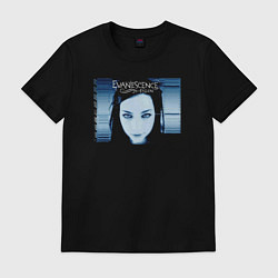 Футболка хлопковая мужская Evanescence rock, цвет: черный