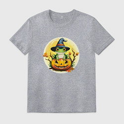 Футболка хлопковая мужская Лягушка ведьма на тыкве, цвет: меланж