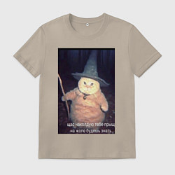 Футболка хлопковая мужская Магический мяв кот-мем колдун, цвет: миндальный