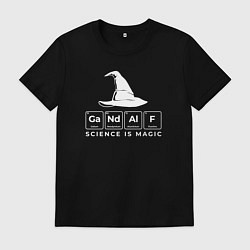 Футболка хлопковая мужская Gendalf science is magic, цвет: черный