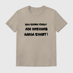 Мужская футболка Алиса всё знает