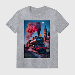 Футболка хлопковая мужская Хогвартс-Экспресс, цвет: меланж