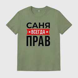 Футболка хлопковая мужская Саня прав, цвет: авокадо