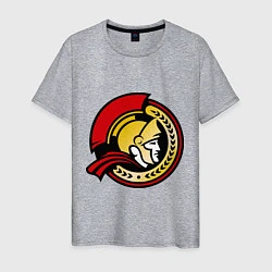 Футболка хлопковая мужская HC Ottawa Senators Alternative, цвет: меланж