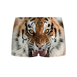 Трусы-боксеры мужские Свирепый тигр цвета 3D-принт — фото 1