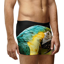 Трусы-боксеры мужские Улыбка попугая, цвет: 3D-принт — фото 2