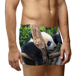Трусы-боксеры мужские Бамбуковый медведь, цвет: 3D-принт — фото 2