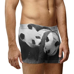 Трусы-боксеры мужские Большая панда, цвет: 3D-принт — фото 2