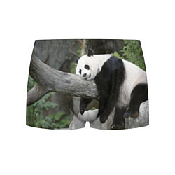 Трусы-боксеры мужские Большая уставшая панда, цвет: 3D-принт