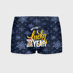 Мужские трусы Lucky Year