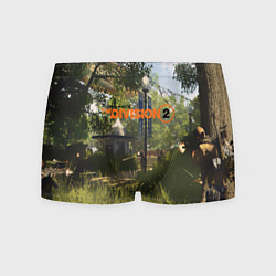 Трусы-боксеры мужские Tom Clancy's The Division, цвет: 3D-принт