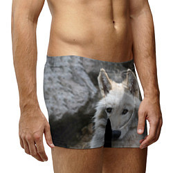 Трусы-боксеры мужские Волк, цвет: 3D-принт — фото 2