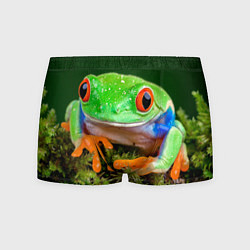 Мужские трусы Тропическая лягушка