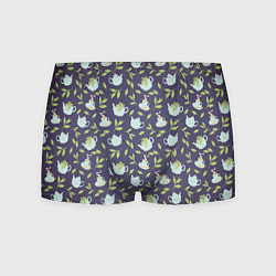 Мужские трусы Чай с мятой