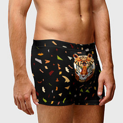Трусы-боксеры мужские Кусочки Тигра, цвет: 3D-принт — фото 2