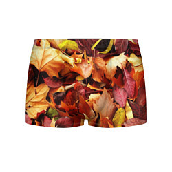 Трусы-боксеры мужские Куча осенних листьев, цвет: 3D-принт