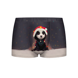 Трусы-боксеры мужские Пёсель - панда в колпаке, цвет: 3D-принт