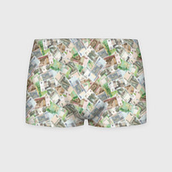 Мужские трусы Российские денежные купюры