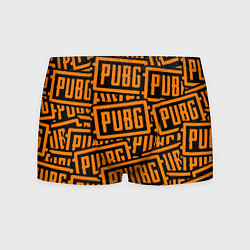 Трусы-боксеры мужские PUBG pattern game, цвет: 3D-принт