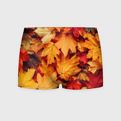 Мужские трусы Осенние кленовые листья