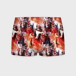 Мужские трусы Огненные перья